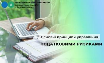 Основні принципи управління податковими ризиками